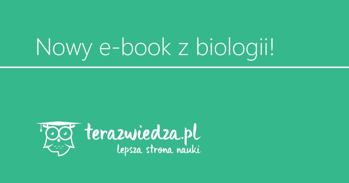 E-book "Metabolizm"