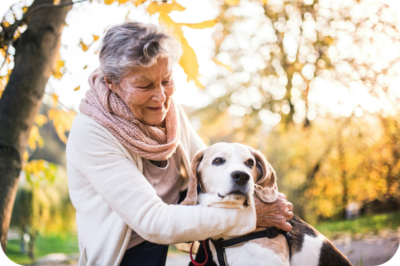 Seniorin mit Hund: Bei der aktivierenden Pflege geht es darum, die Selbständigkeit möglichst lange zu erhalten