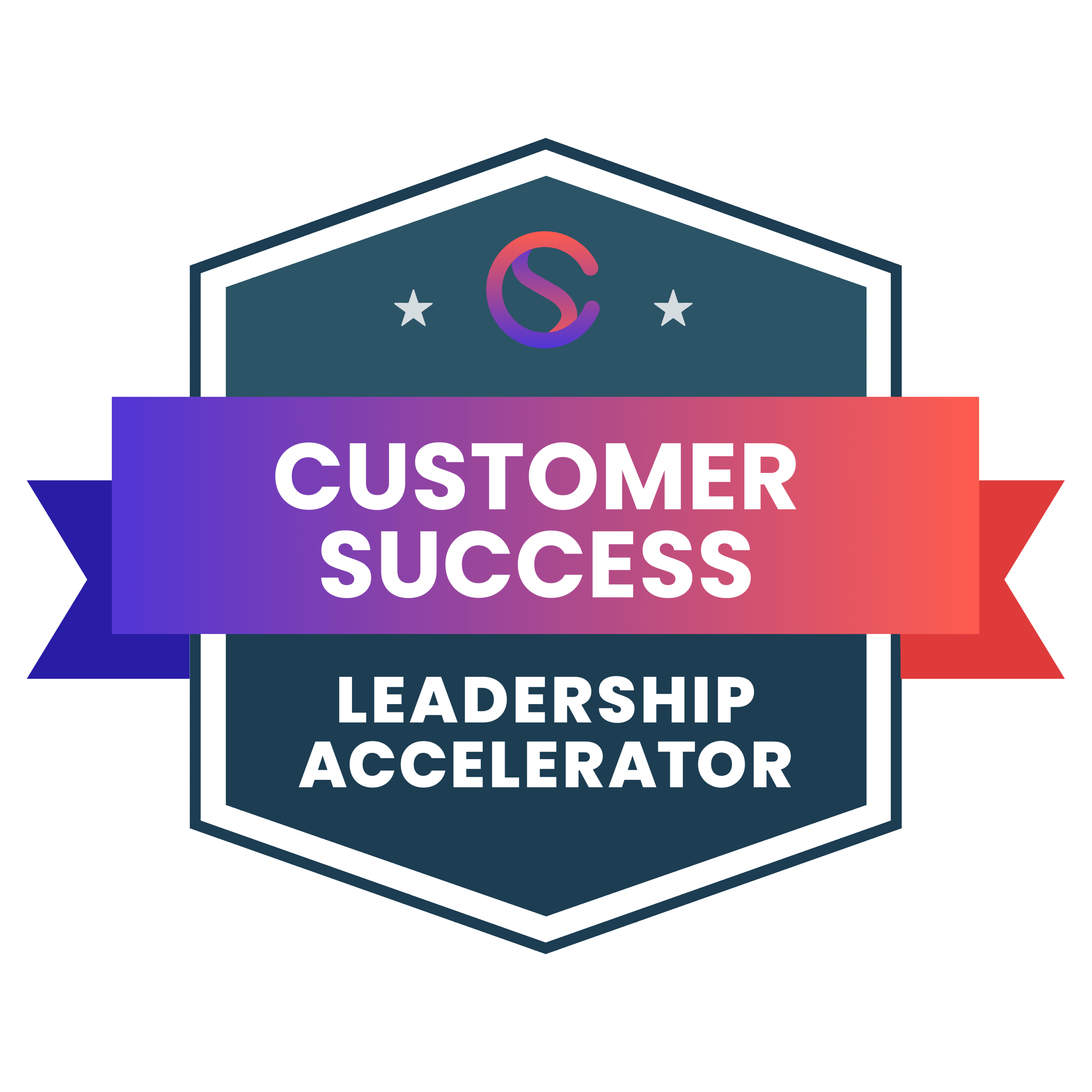 Customer Success Leadership Accelerator H2 2024