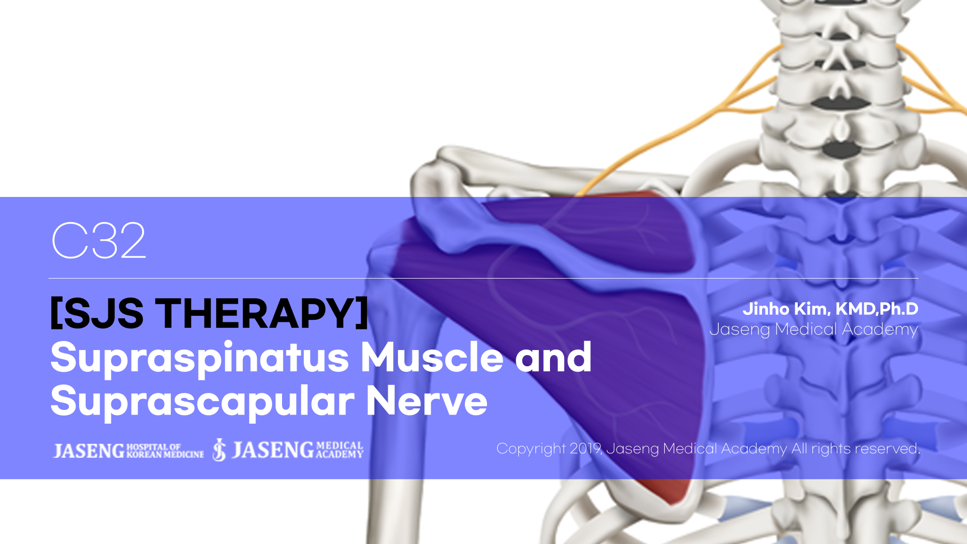 [SJS THERAPY] Supraspinatus Muscle and Suprascapular Nerve