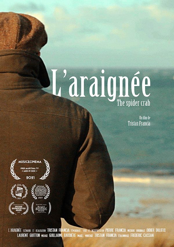 L'araignée