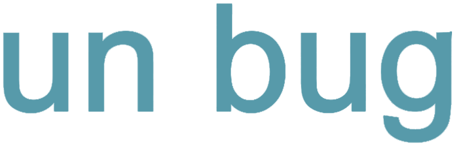 Un Bug