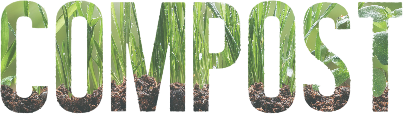 Compost