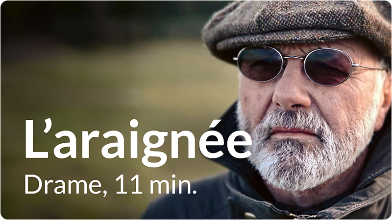 L'araignée