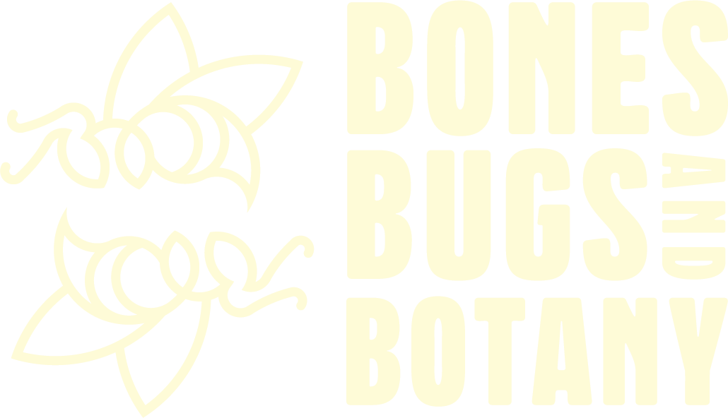 bones bugs and botany logo
