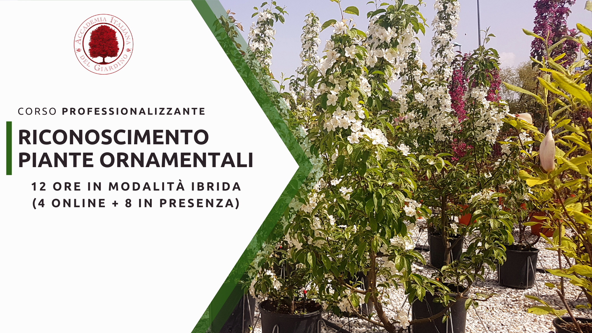 Riconoscimento piante ornamentali