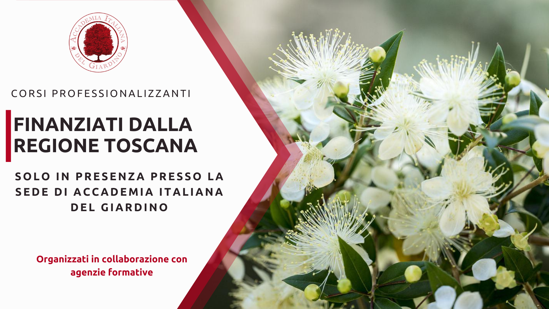 Corsi finanziati dalla Regione Toscana