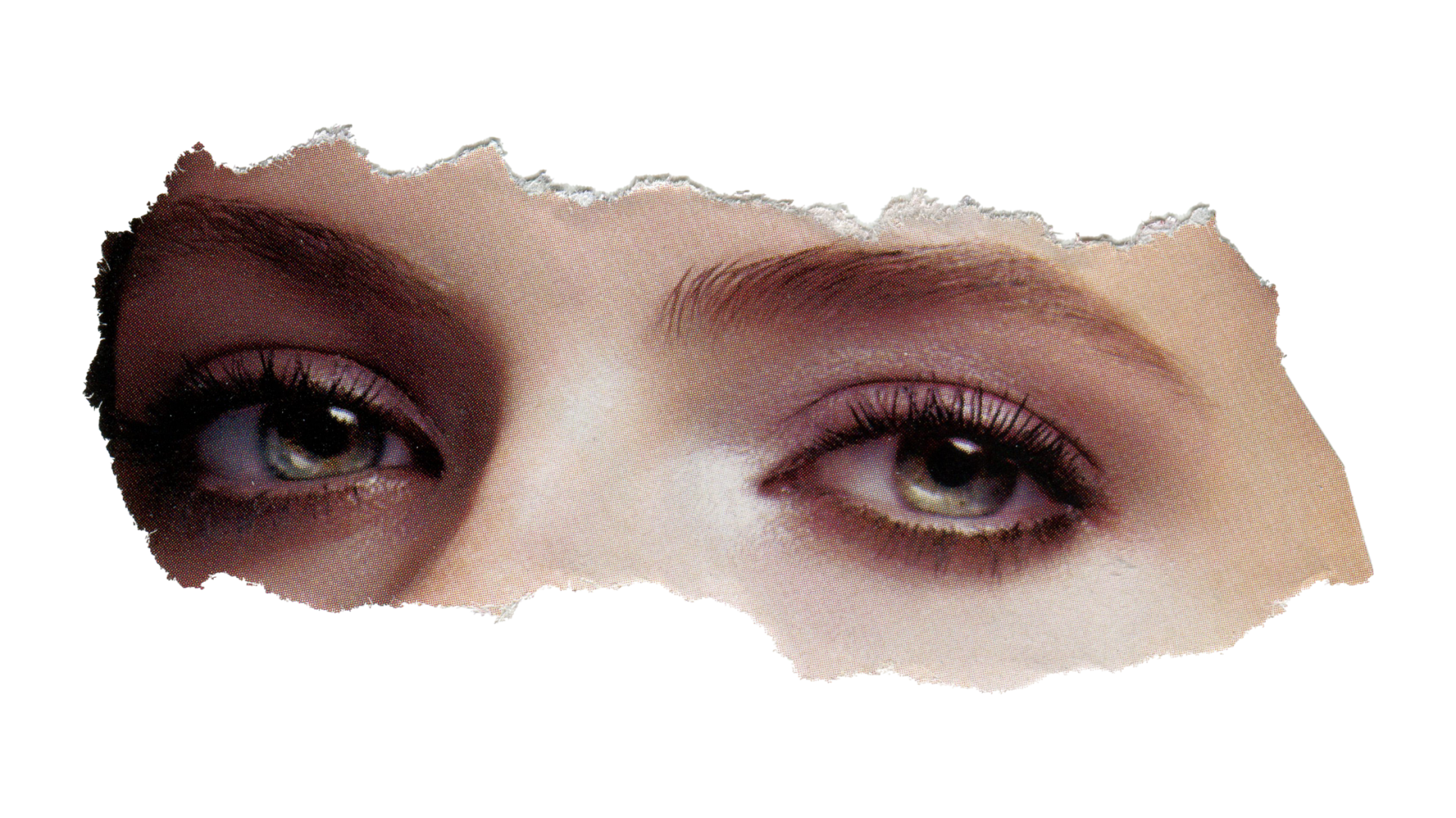 * Brow mastery certification training results Academy of Pigments