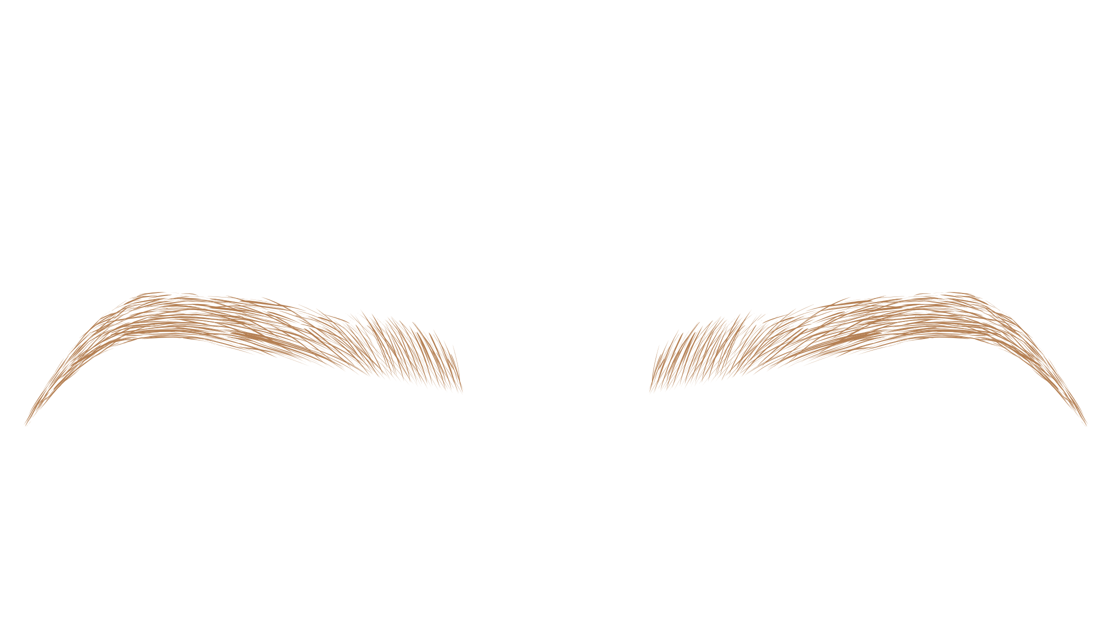 * Brow mastery certification training results Academy of Pigments