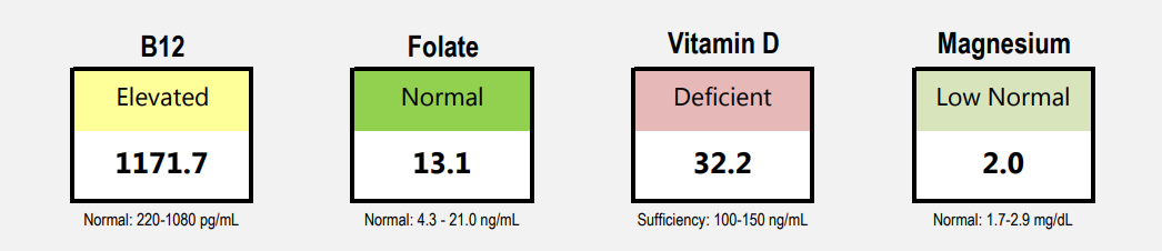 Essential Vitamins Panel from a Canine Patient.
