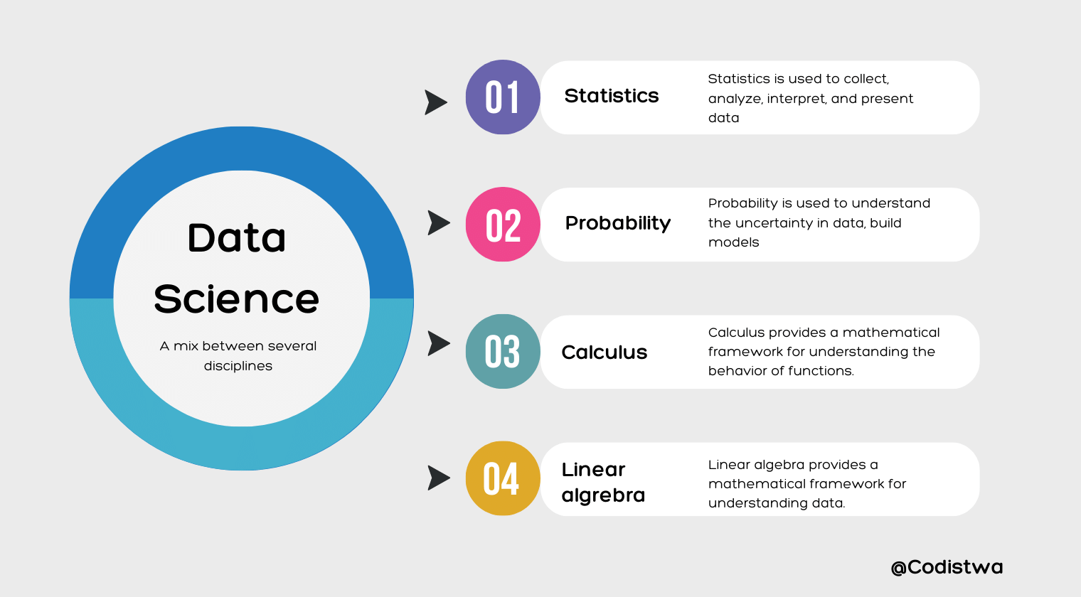 A graph showing Data science with explanations of statistics, probability, calculus and linear algebra