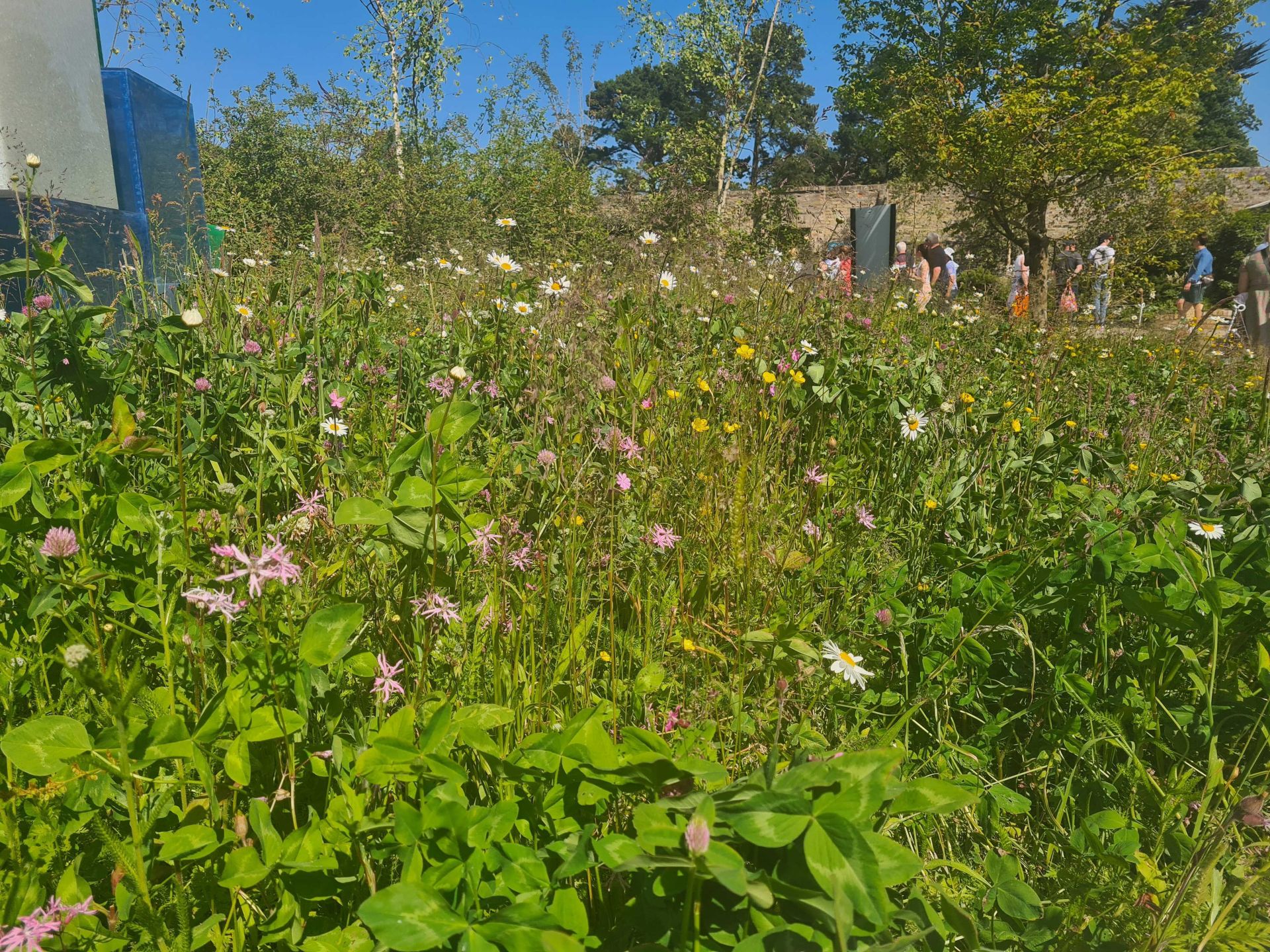 Biodiversity in the Built Environment Masterclass