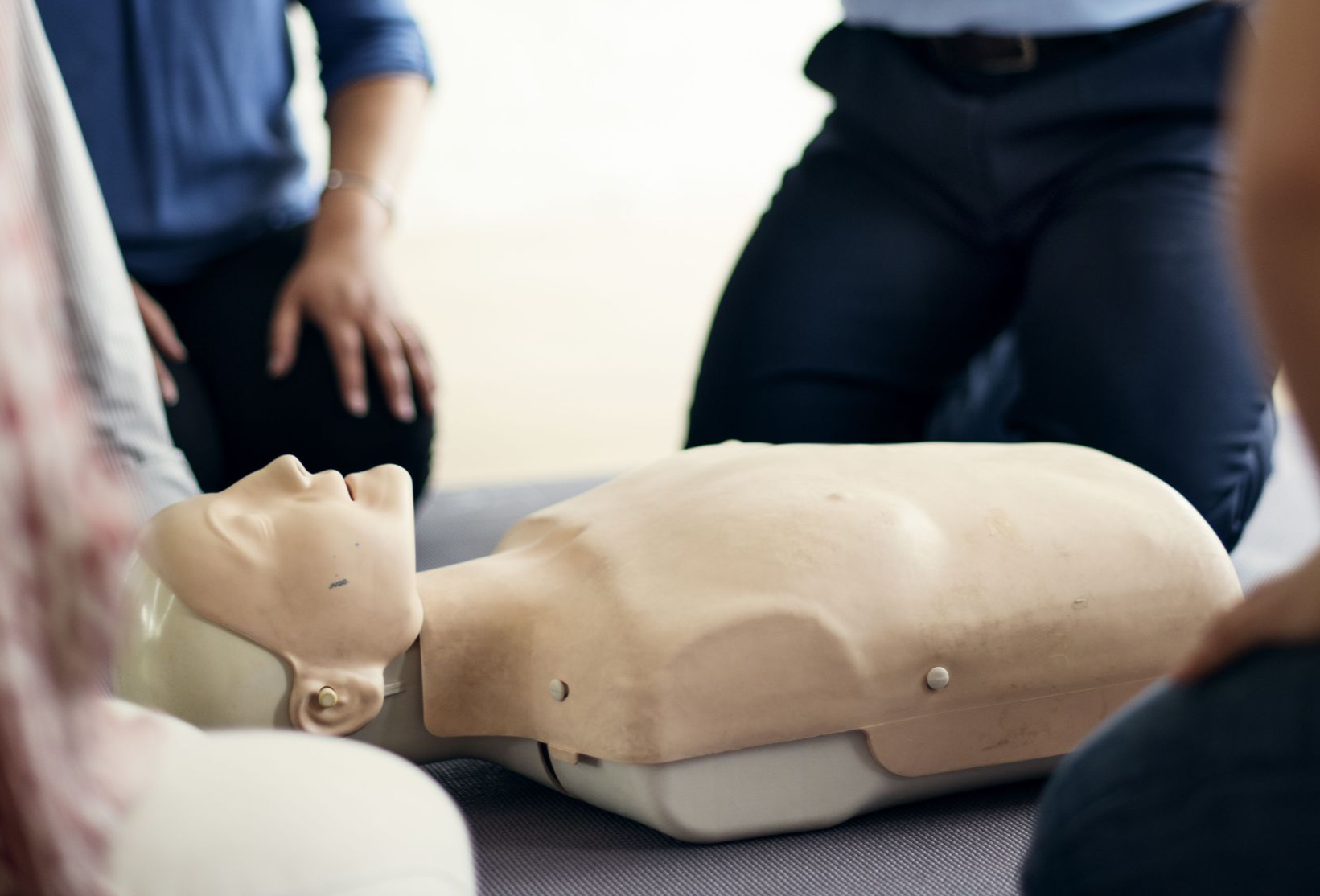 Aha Basic Life Support Bls Training Renewal