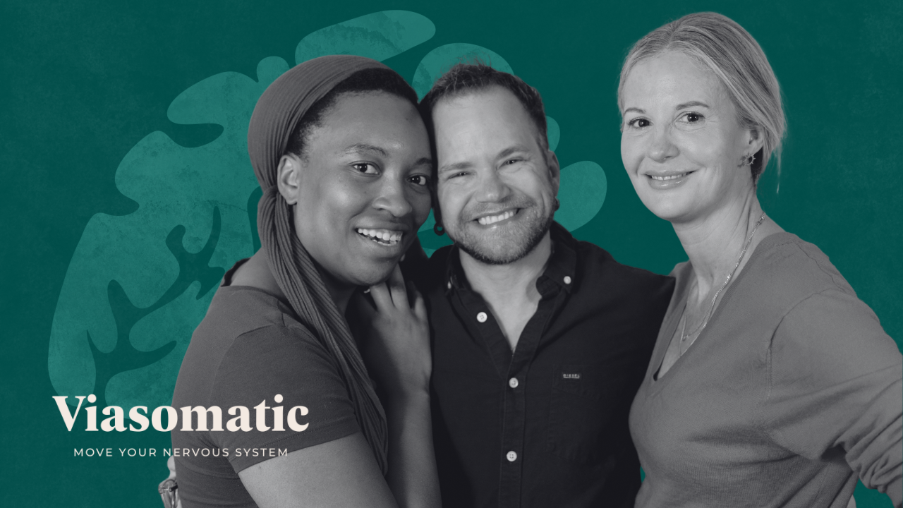 1:1 Nervous System Coaching for Stress & Resilience | Viasomatic