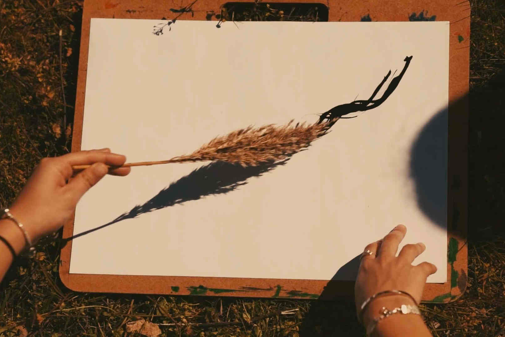Goita | Art i Educació | Natura 04