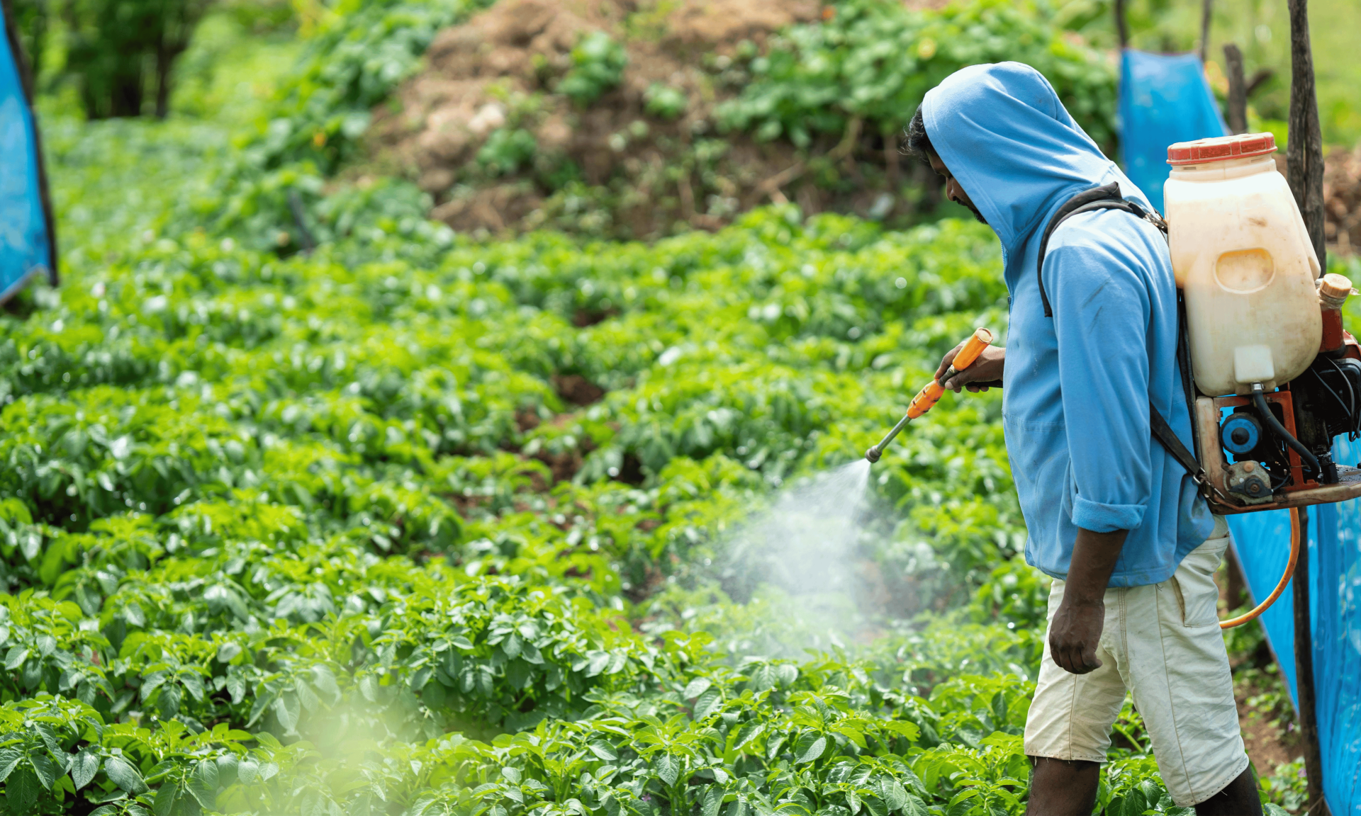 Pesticides and Herbicides