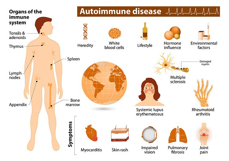 Auto Immune Disease Chart