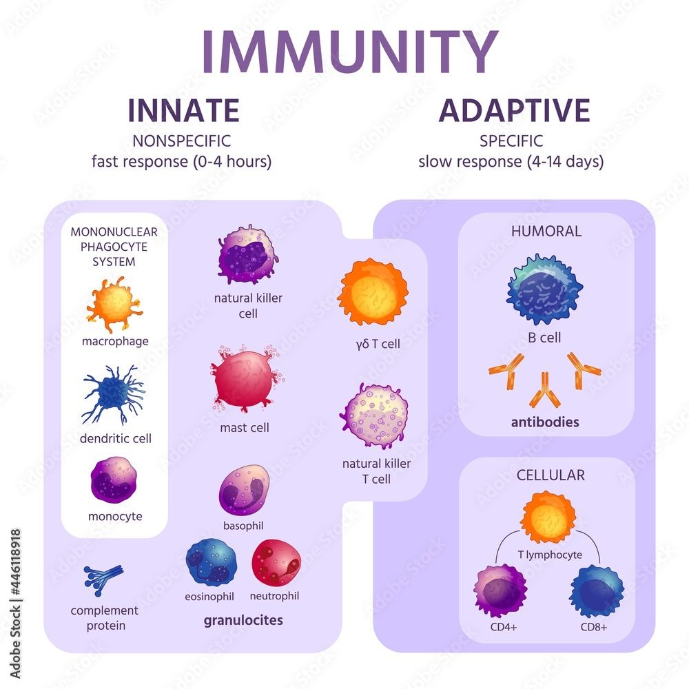 Types of Immune Systems