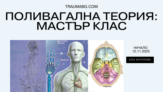 Курс на живо: Психотерапия и психобиология на травмата и ПТСР