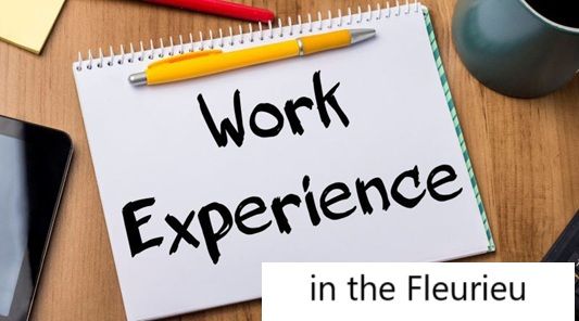 Host a Work Experience Placement – Expression of Interest Now Open