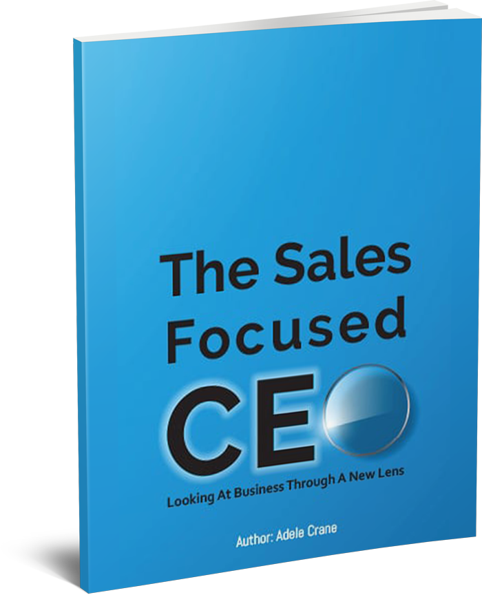 Book cover for The Sales Focused CEO