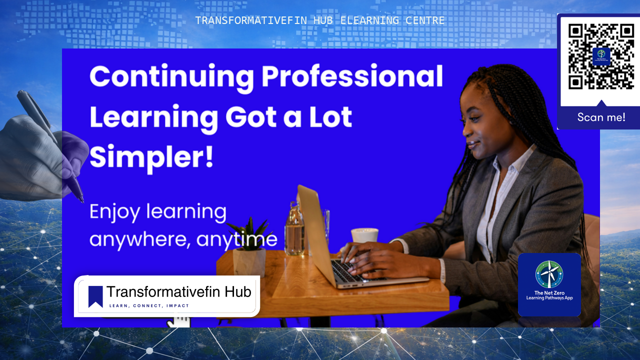 Professional engaged in online finance education