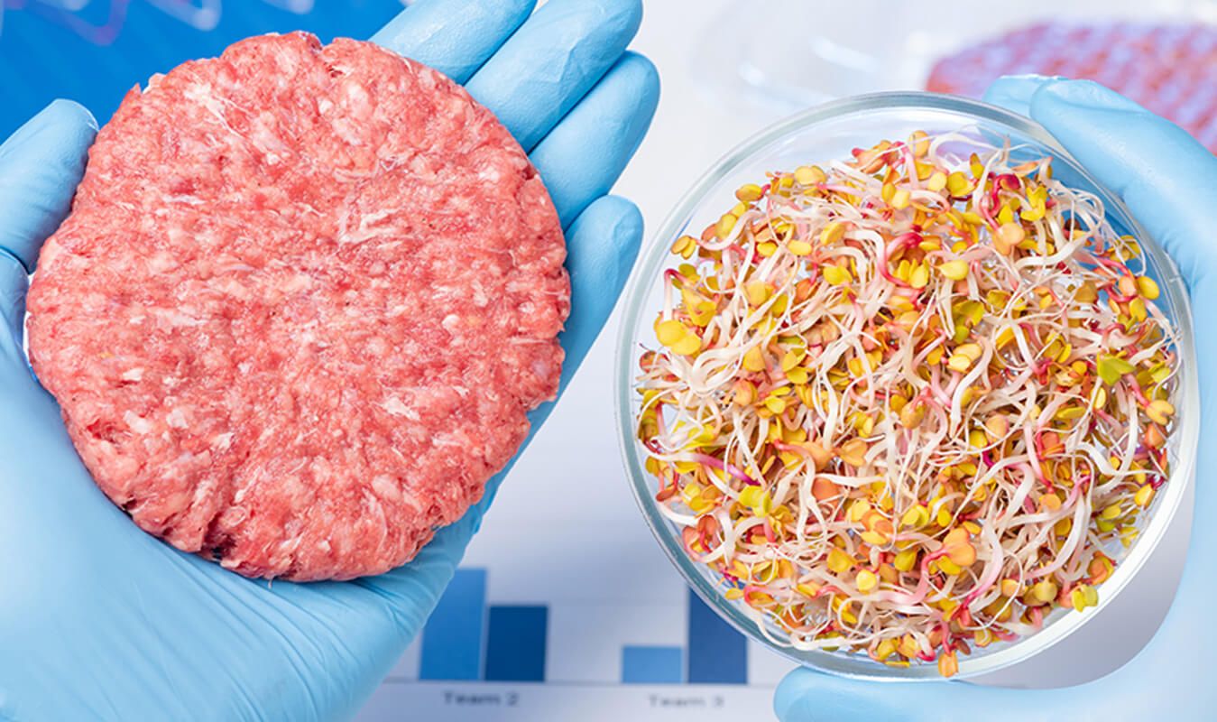 Food production and manufacturing facility
