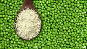 Assorted plant-based protein ingredients including legumes and soy