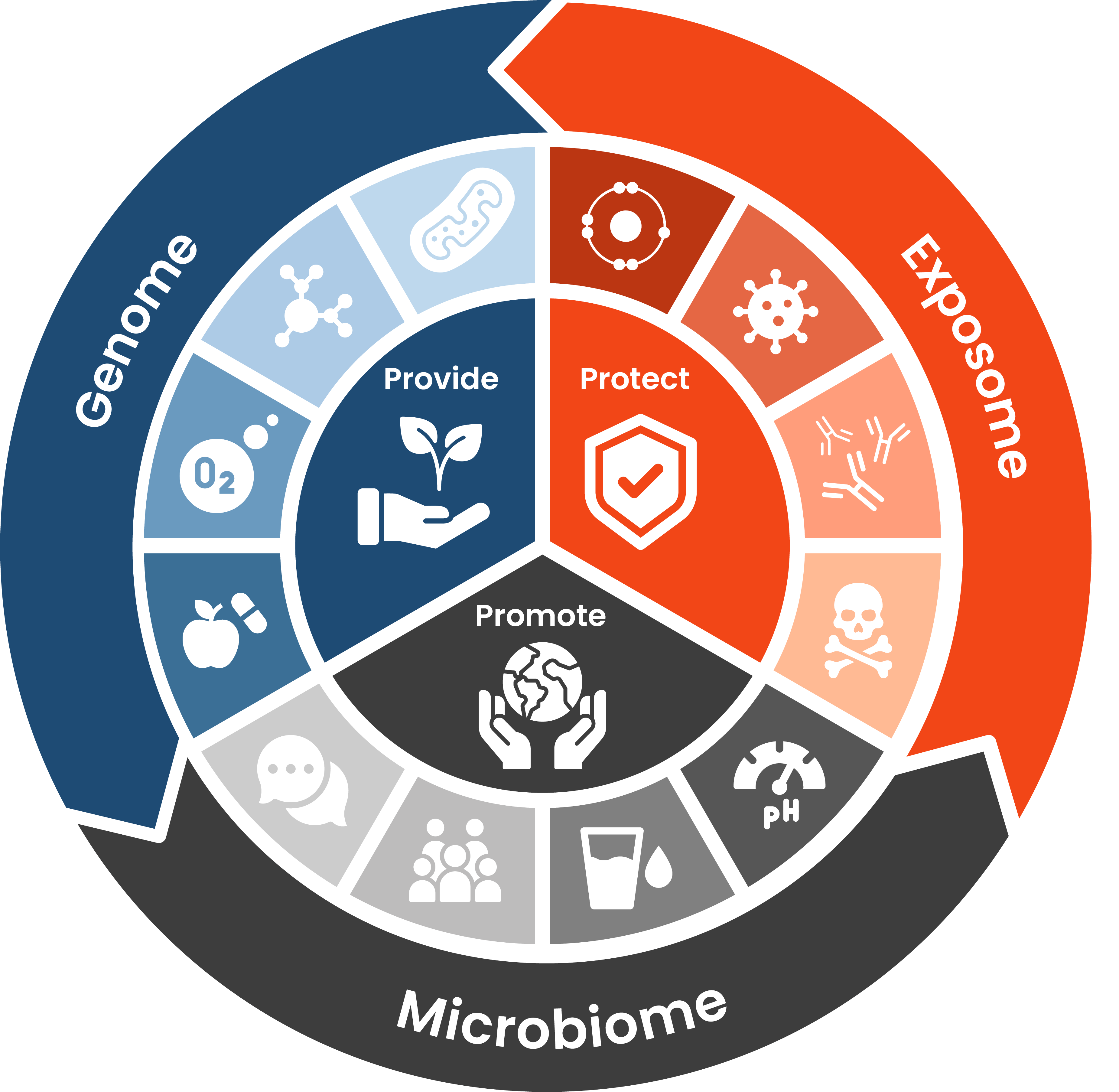 Circular diagram showing three equally-weighted parts of the Cell Blueprint: Genome, Exposome, and Microbiome. The genome section is broken down into various icons and falls into the Provide category. The exposome section is also broken down into various icons and falls into the protect section. Lastly, the mirobiome section is also broken down into various icons and falls into the promote section.