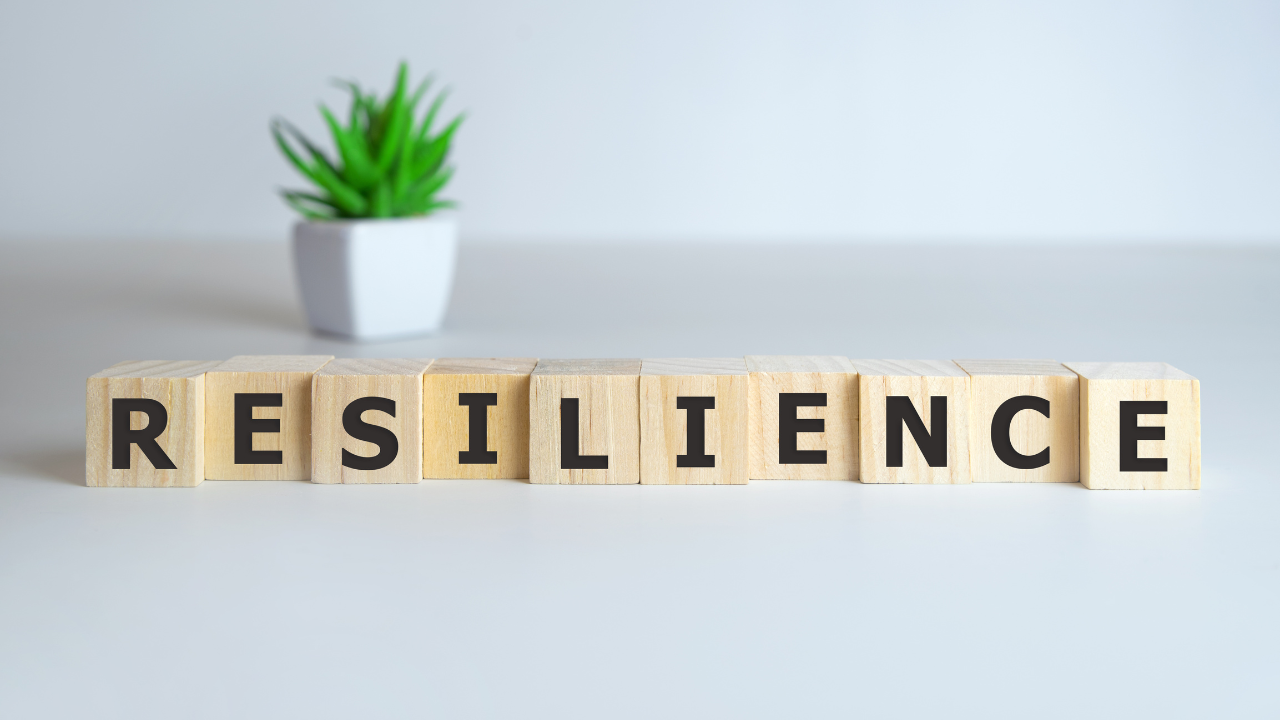 Resilience (Don't Take the Bait)