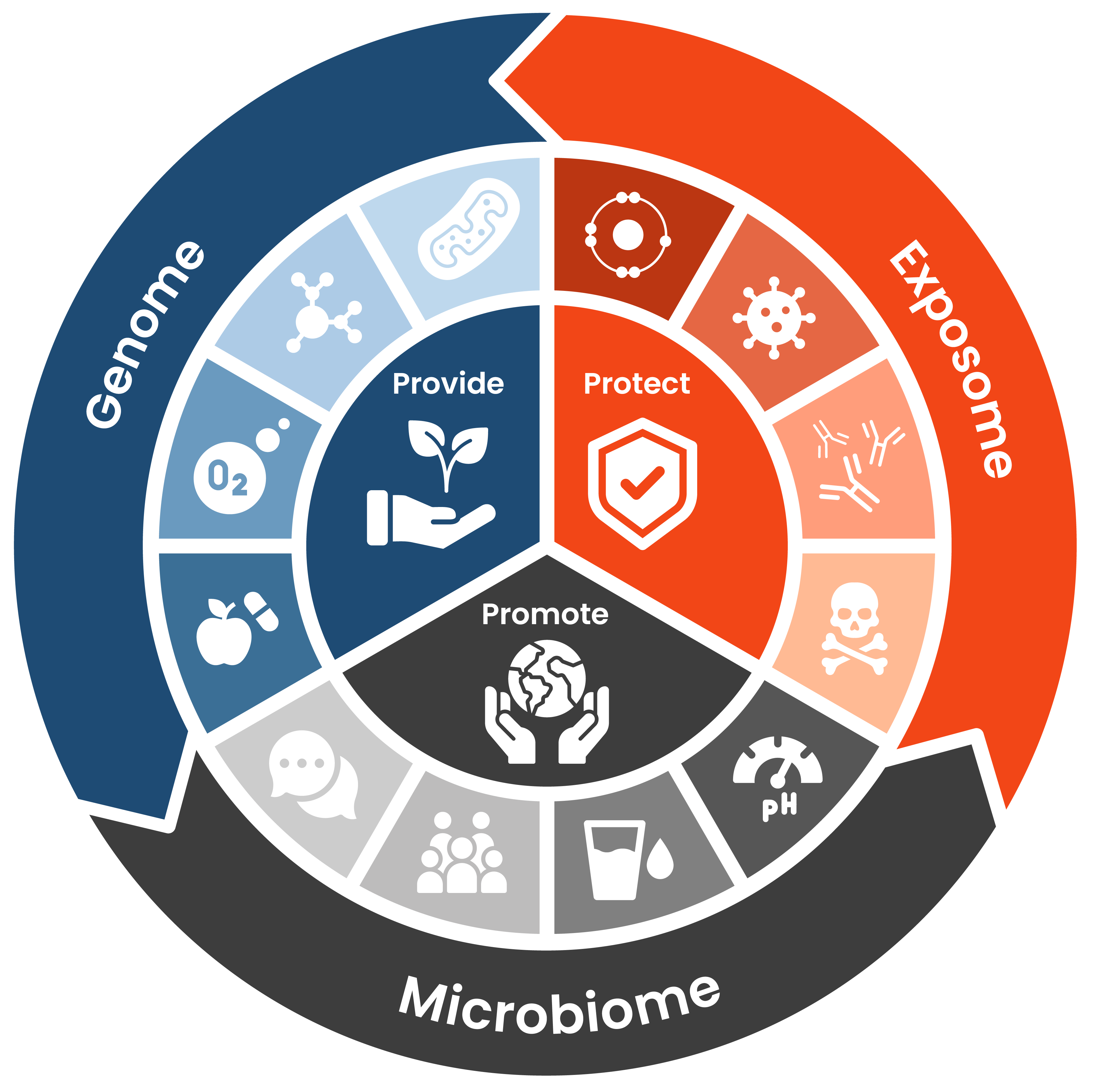 Circular diagram showing three equally-weighted parts of the Cell Blueprint: Genome, Exposome, and Microbiome. The genome section is broken down into various icons and falls into the Provide category. The exposome section is also broken down into various icons and falls into the protect section. Lastly, the mirobiome section is also broken down into various icons and falls into the promote section.