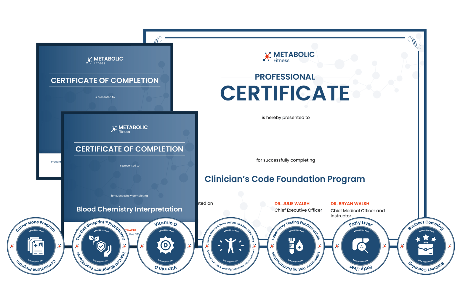 The Clinician's Code Professional Certificate 
