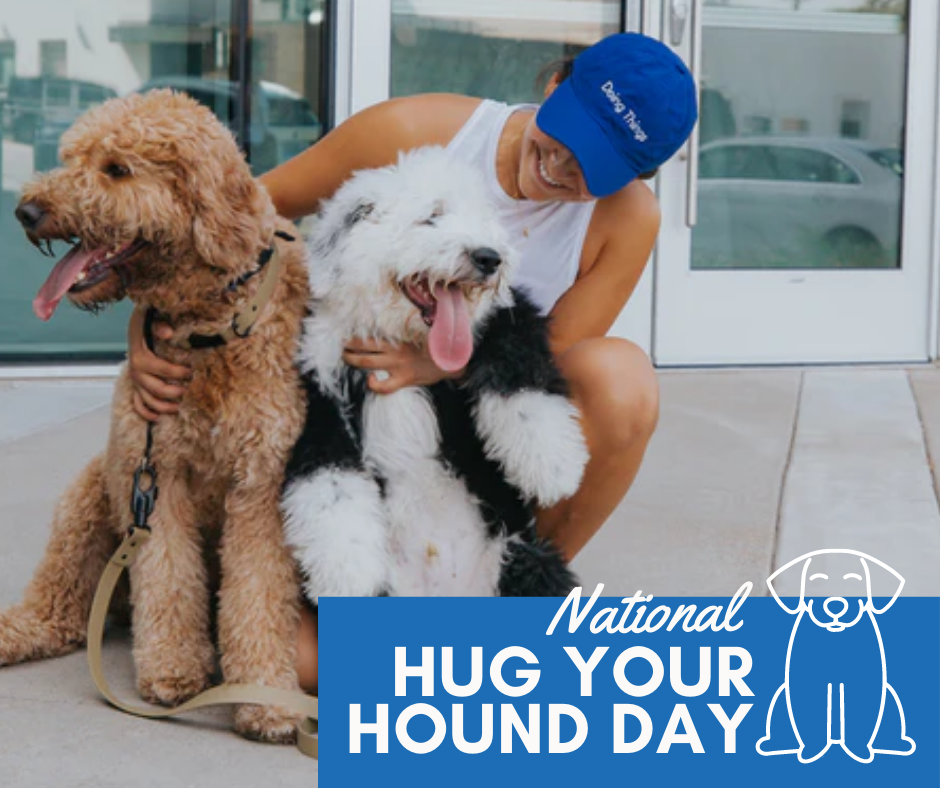 National Hug Your Hound Day