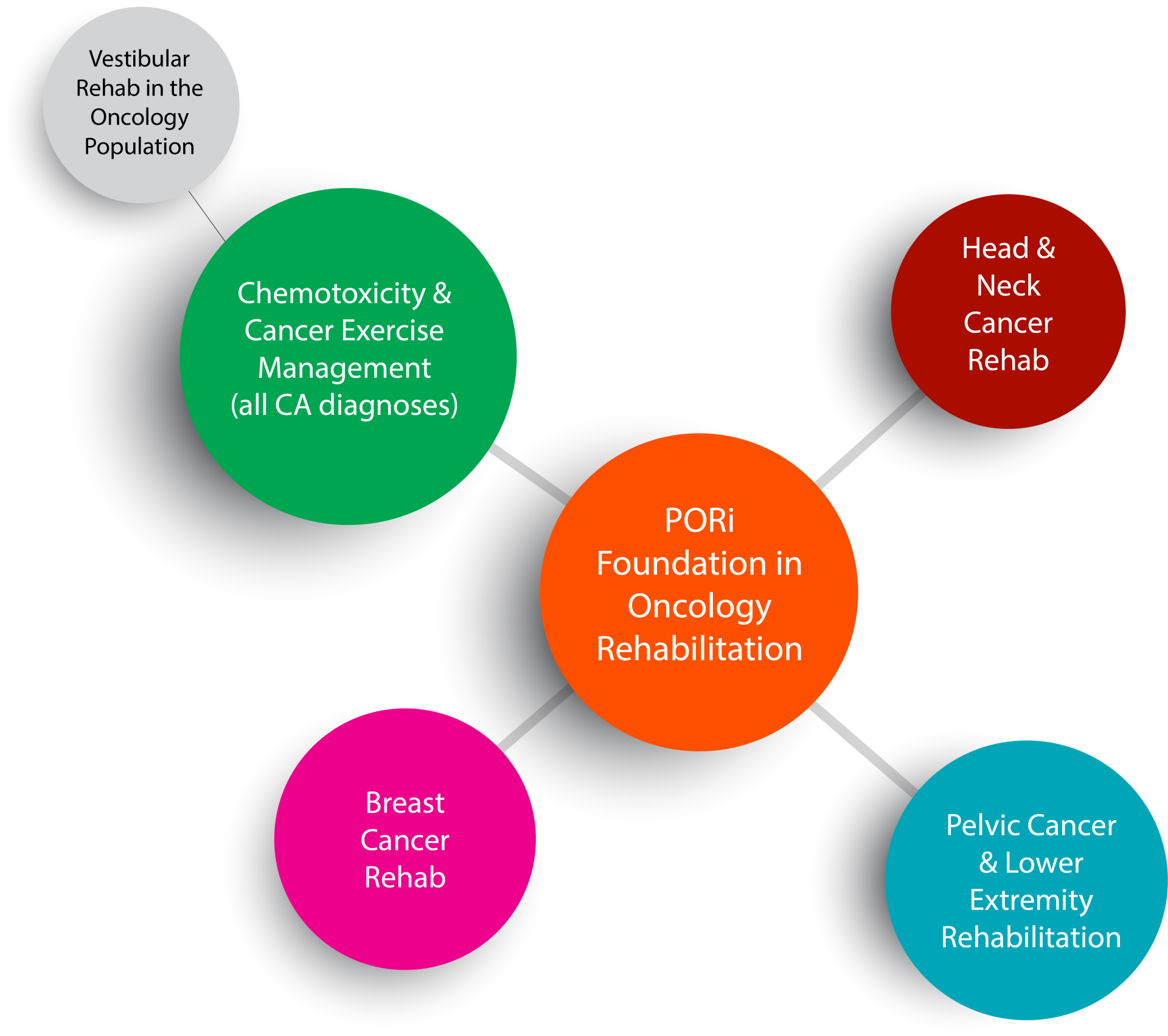 Illustration of PORi Course Curriculum