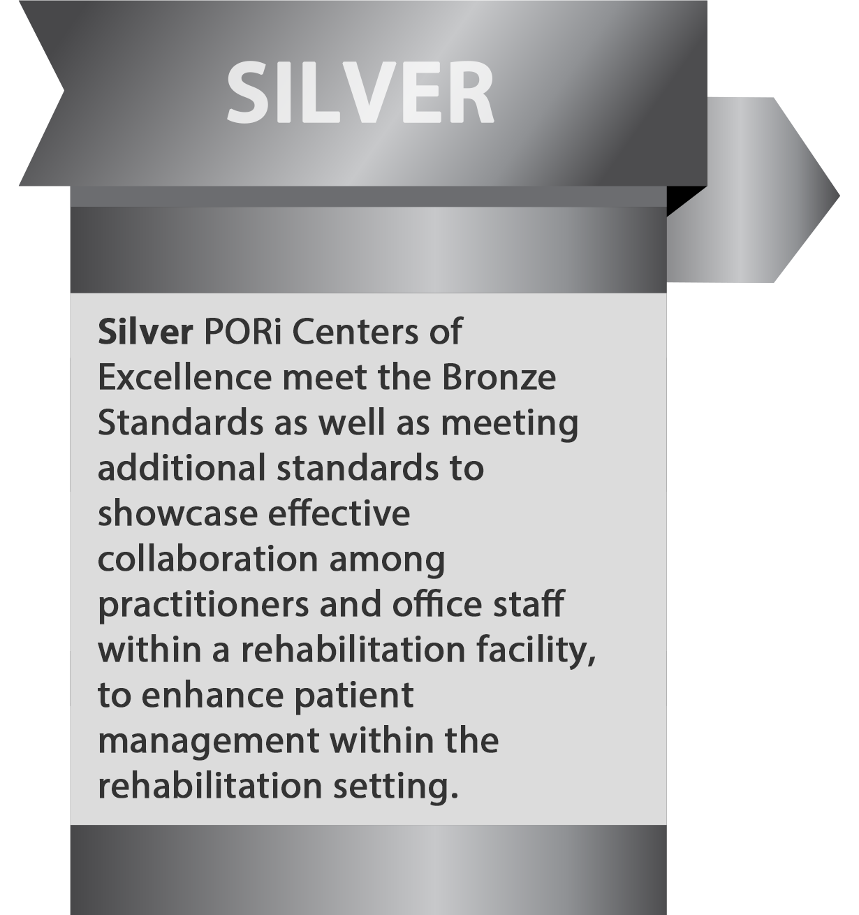 Silver PORi Centers of Excellence meet the Bronze Standards as well as meeting additional standards to showcase effective collaboration among practitioners and office staff within a rehabilitation facility, to enhance patient management within the rehabilitation setting.