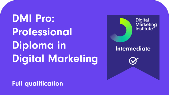 DMI Pro: Professional diploma in digital marketing