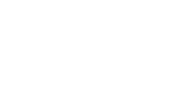 Digital Marketing Institute