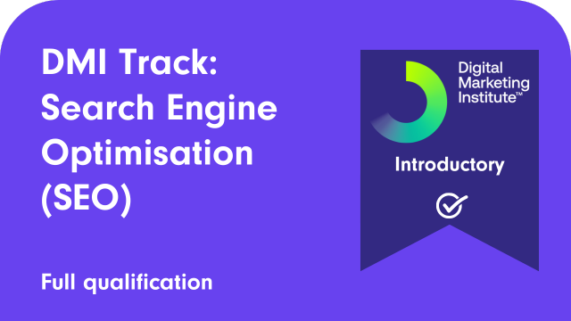 DMI Track: Search Engine Optimisation (SEO)