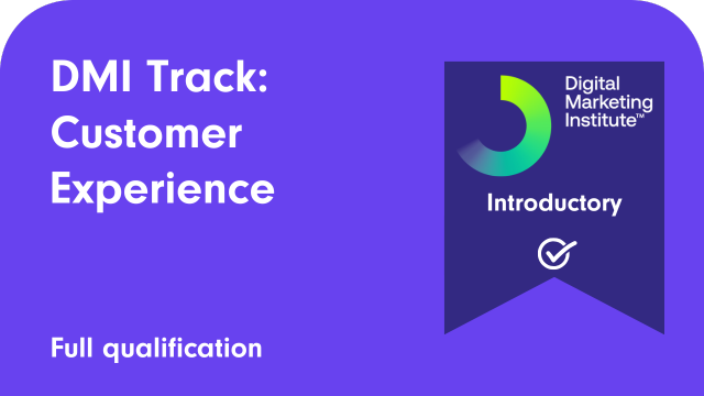 DMI Track: Customer experience