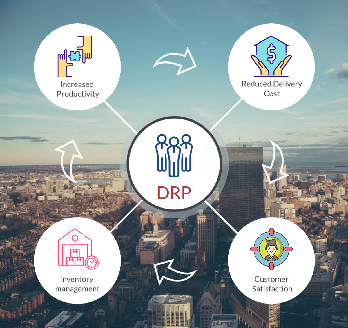 Understanding the Distribution Requirements Plan (DRP)