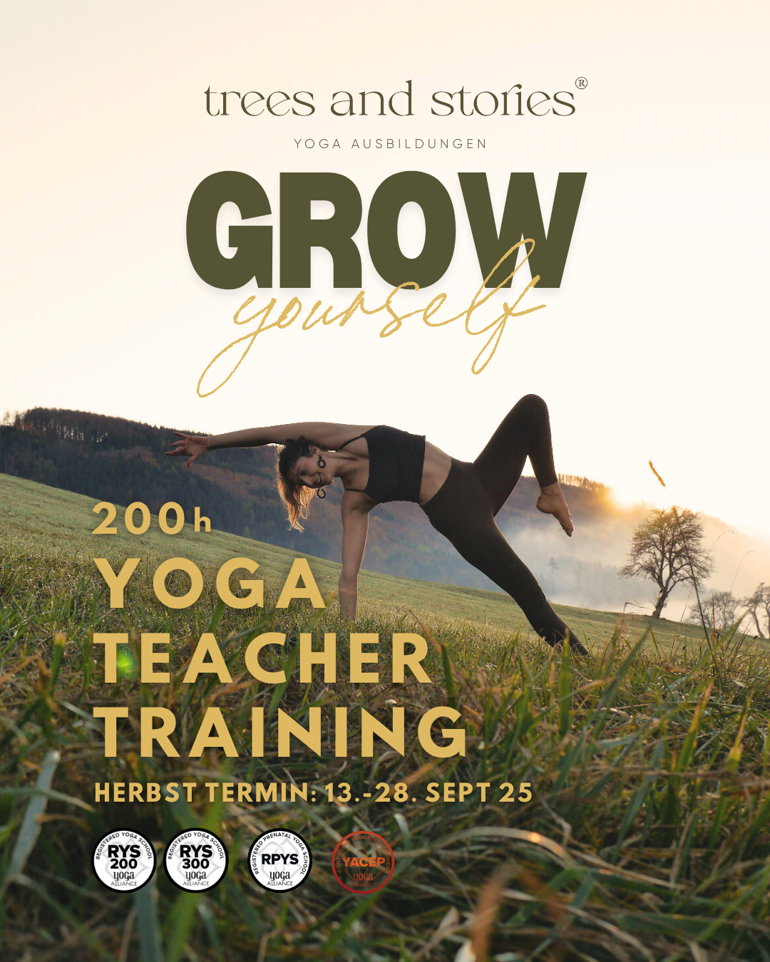 200h yoga teacher training