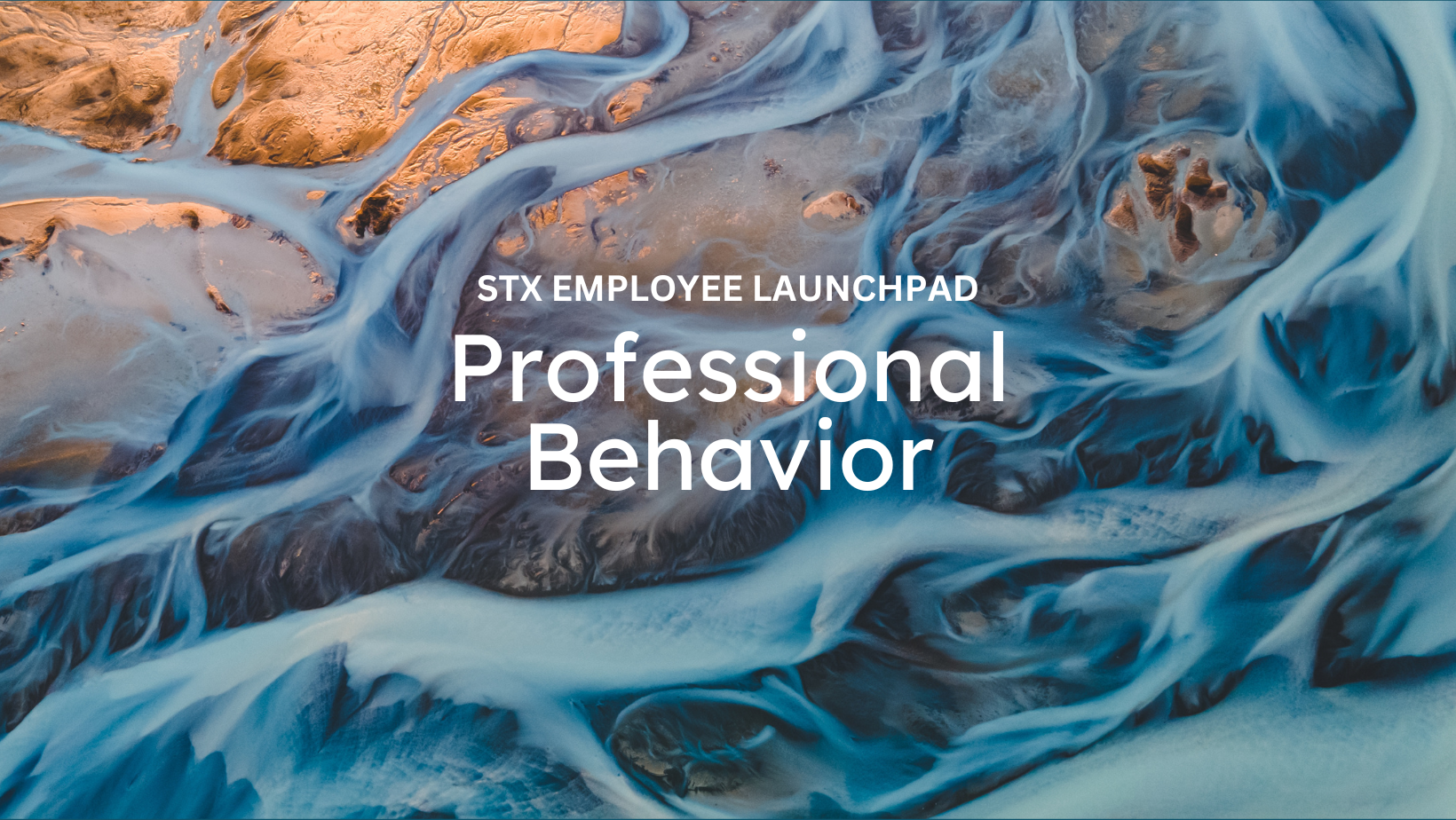 Profesional Behavior Professional Behavior