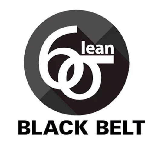 Black Belt Lean Six Sigma