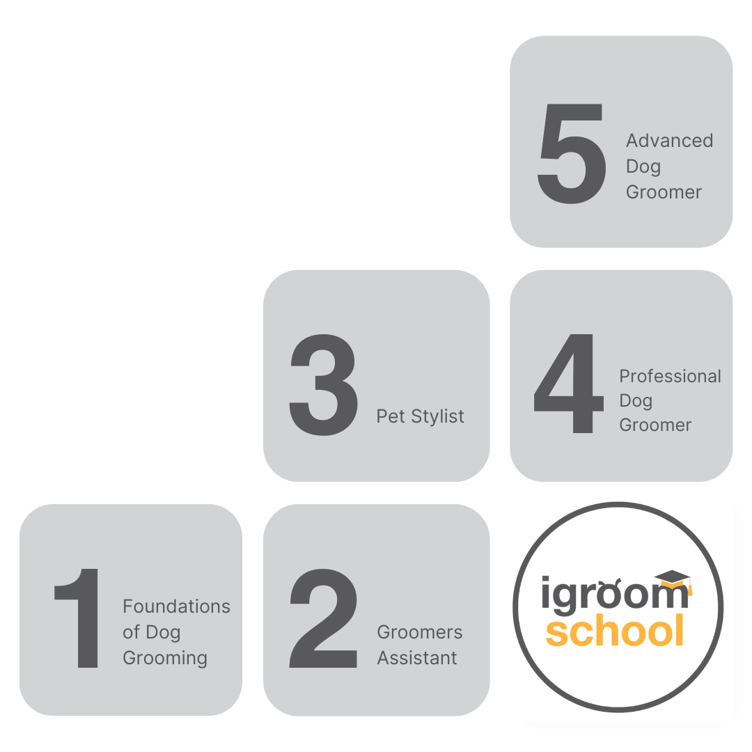 Staff Training staff-training