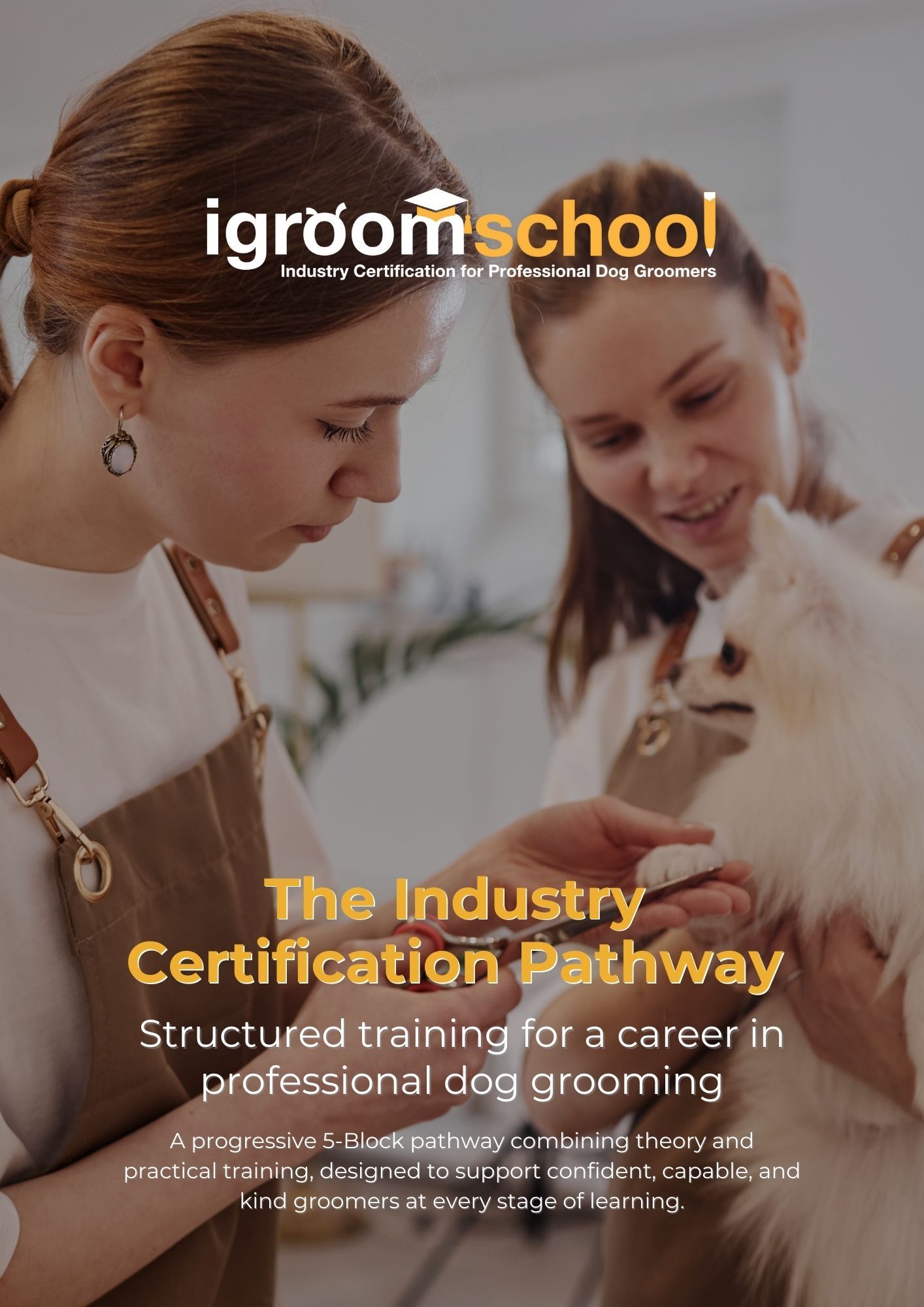 Dog Grooming Course with Industry Certification | igroomschool