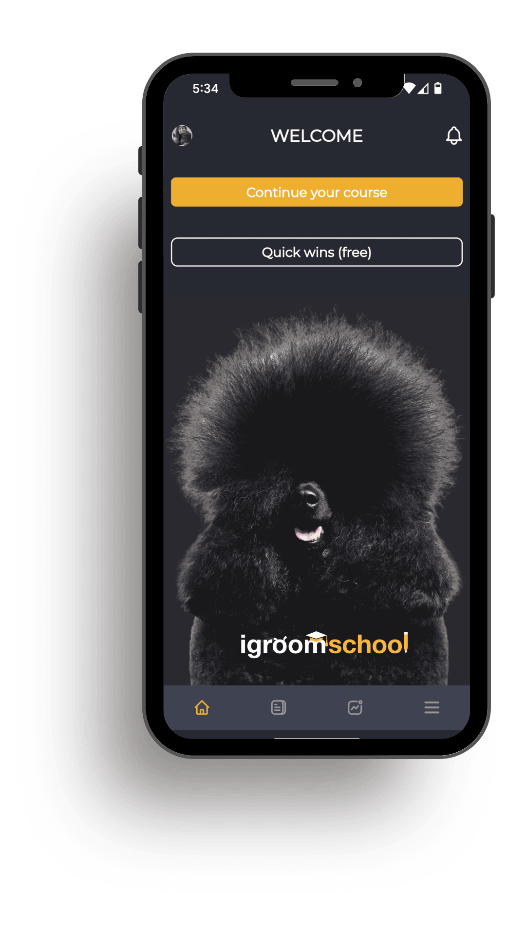 Mobile phone screen showing the igroomschool app with a black Poodle and course options.