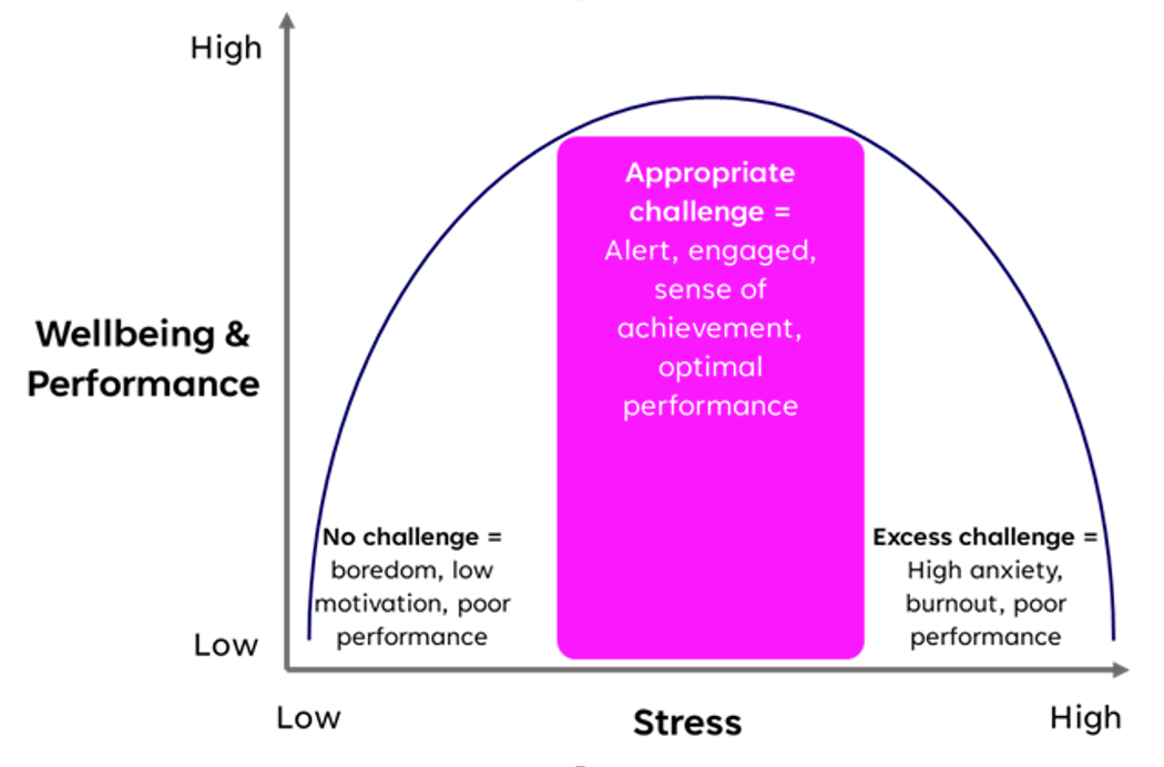 Wellbeing & Performance Diagram Wellbeing & Performance Diagram