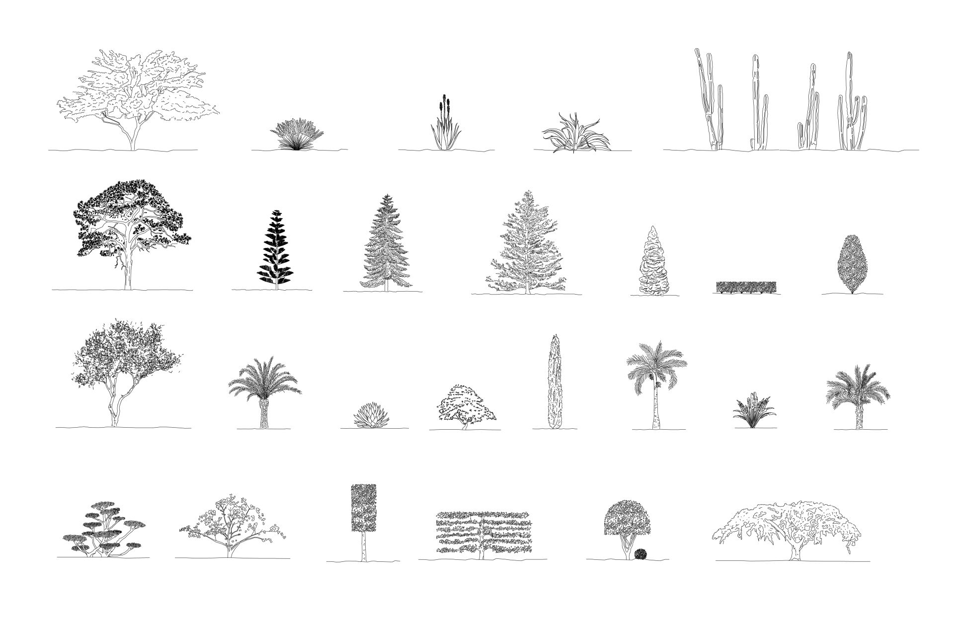 shrub cad block