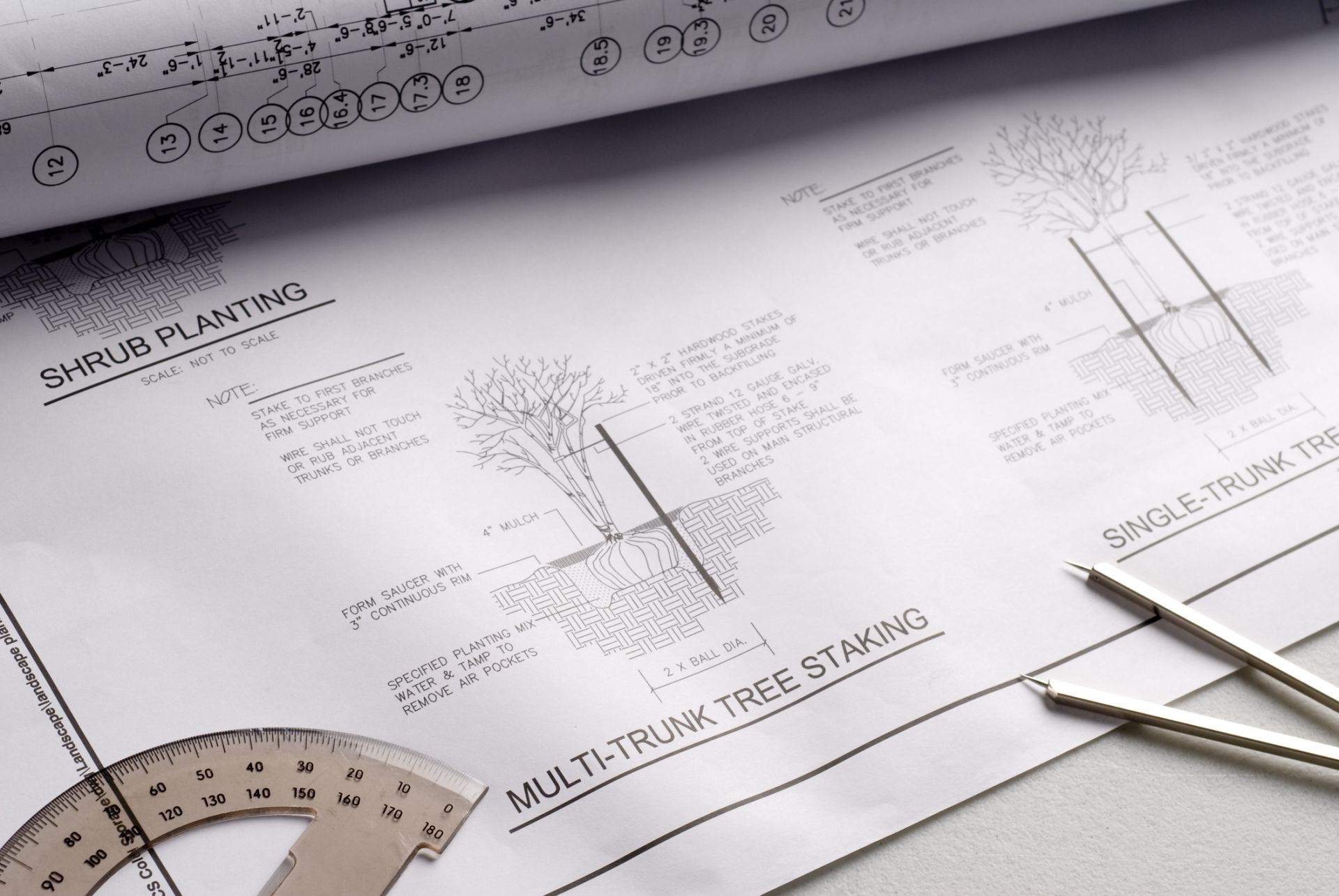 landscape plan created in AutoCAD of planting details