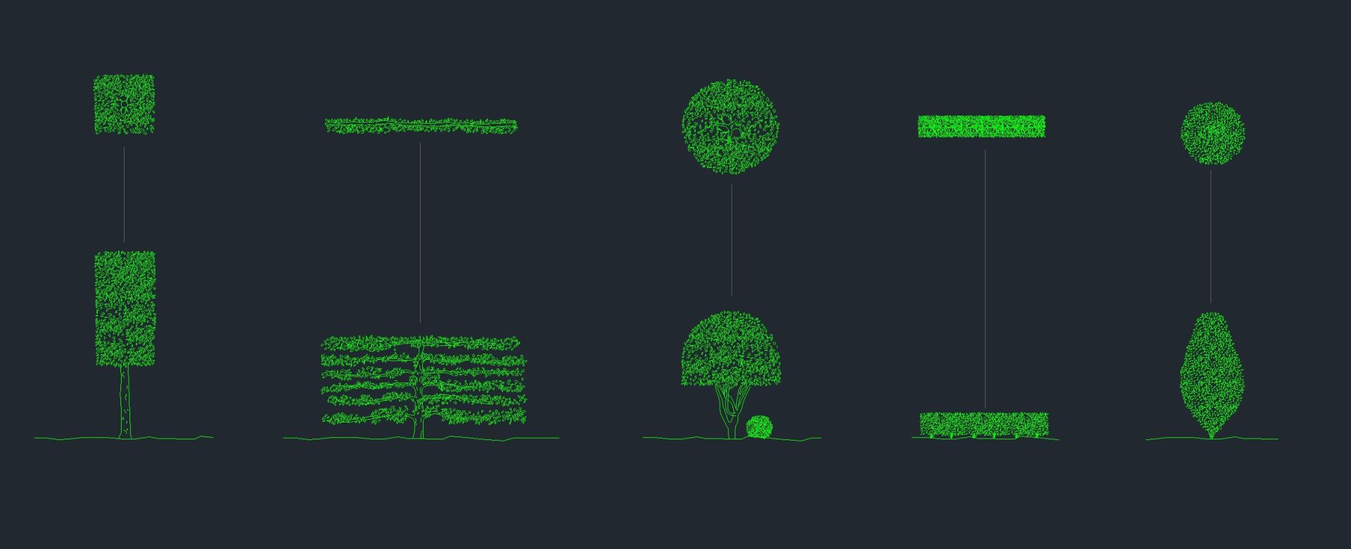 presentation shrub cad blocks